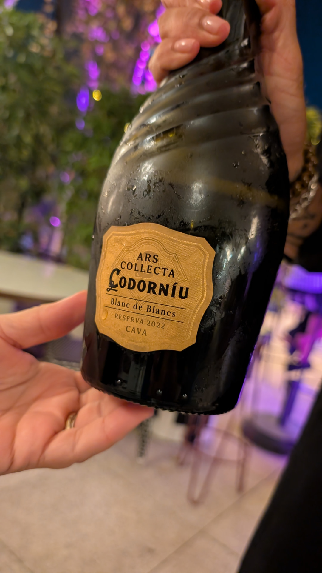 בקבוק קאווה Codorníu רזרבה בידיים, בערב אינטימי